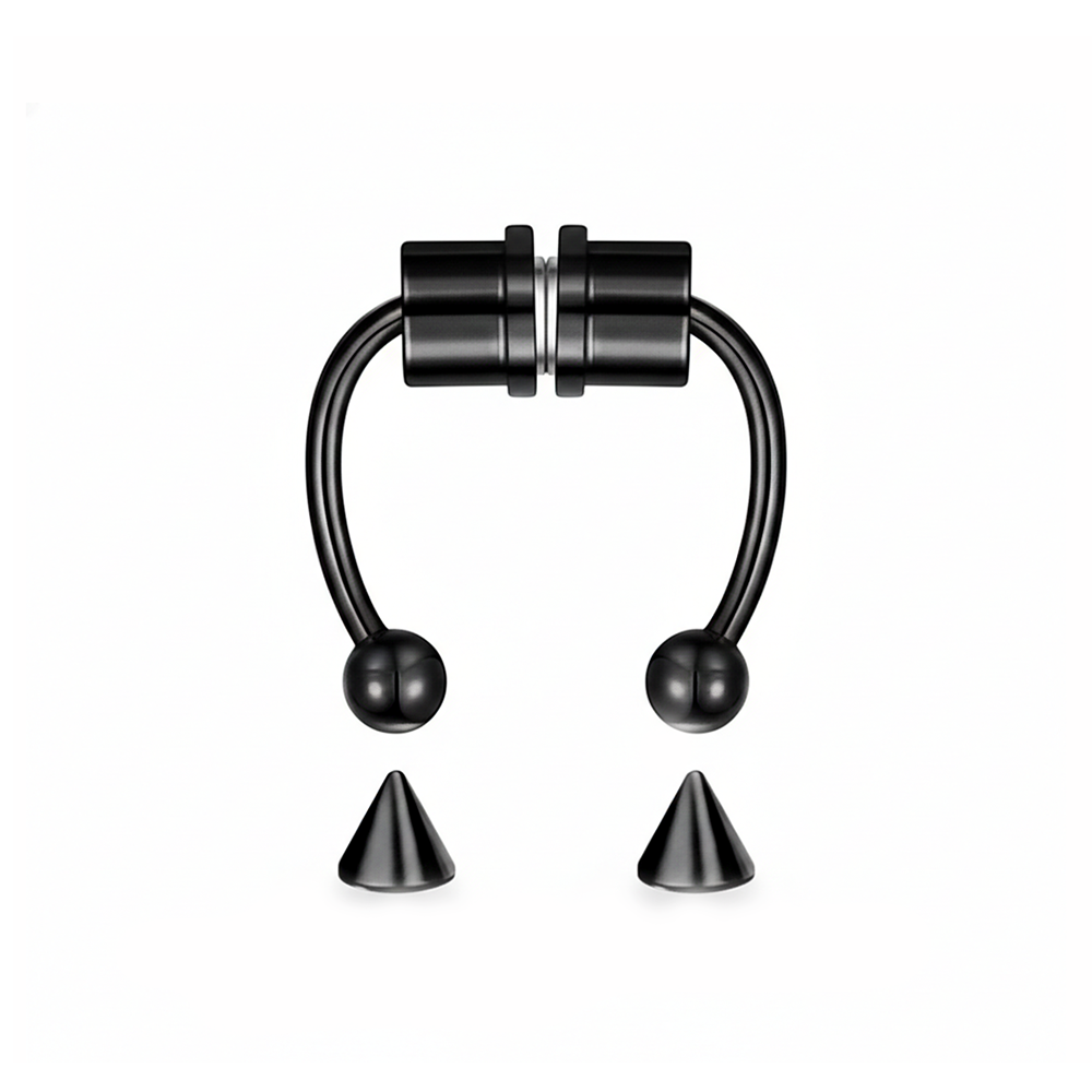 Magnetic Septum Ring