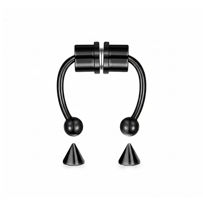 Magnetic Septum Ring