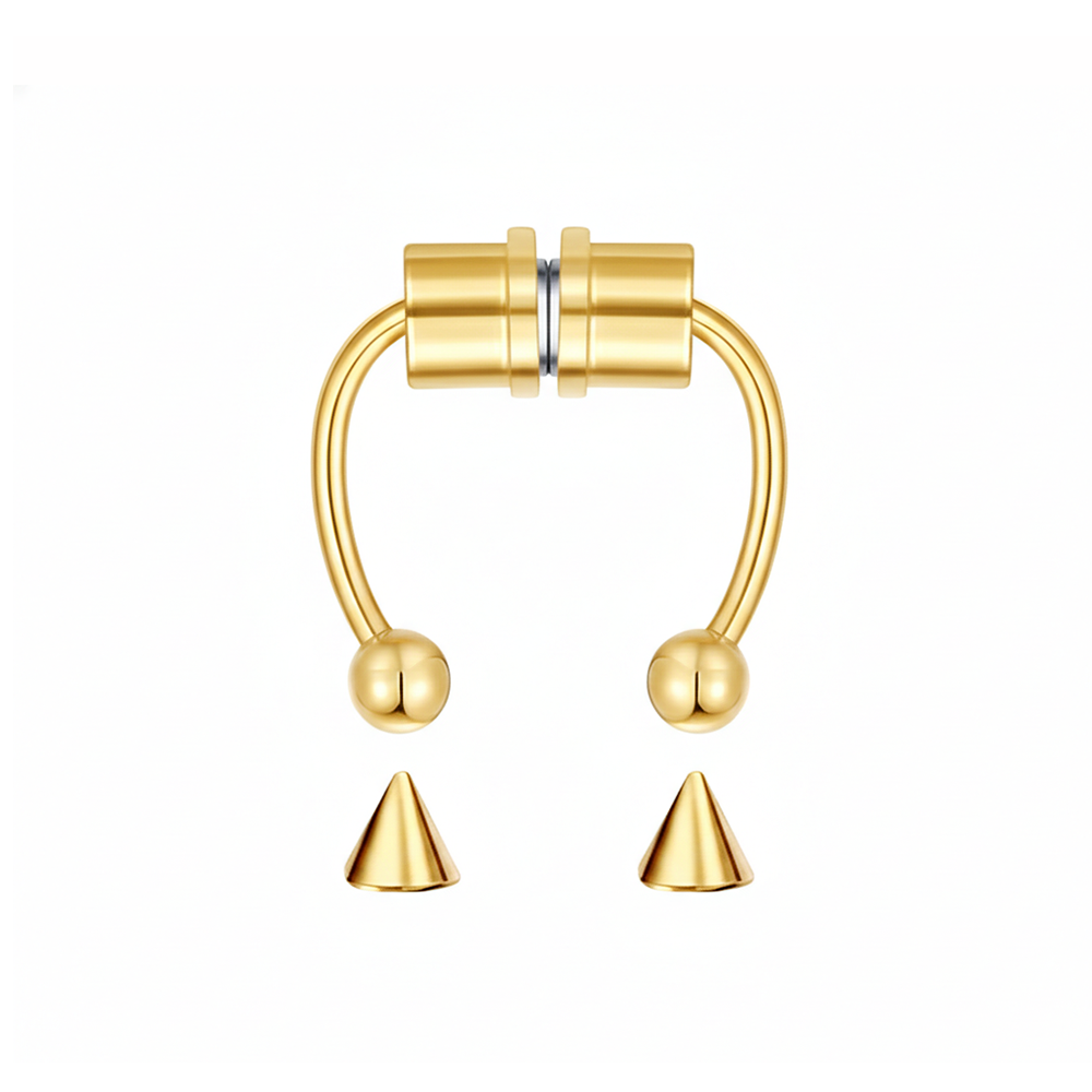 Magnetic Septum Ring