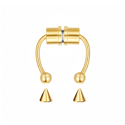Magnetic Septum Ring