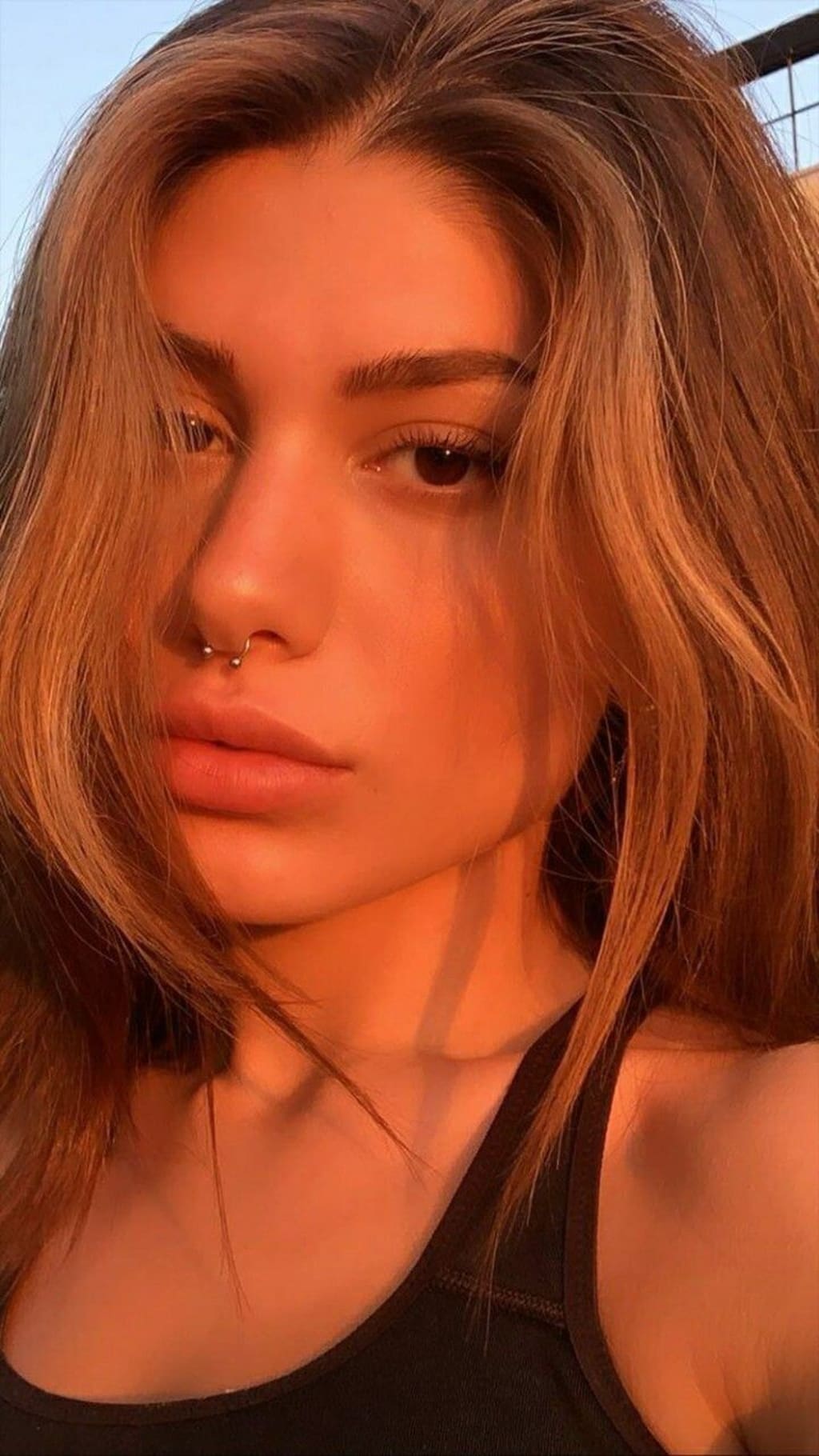 Magnetic Septum Ring