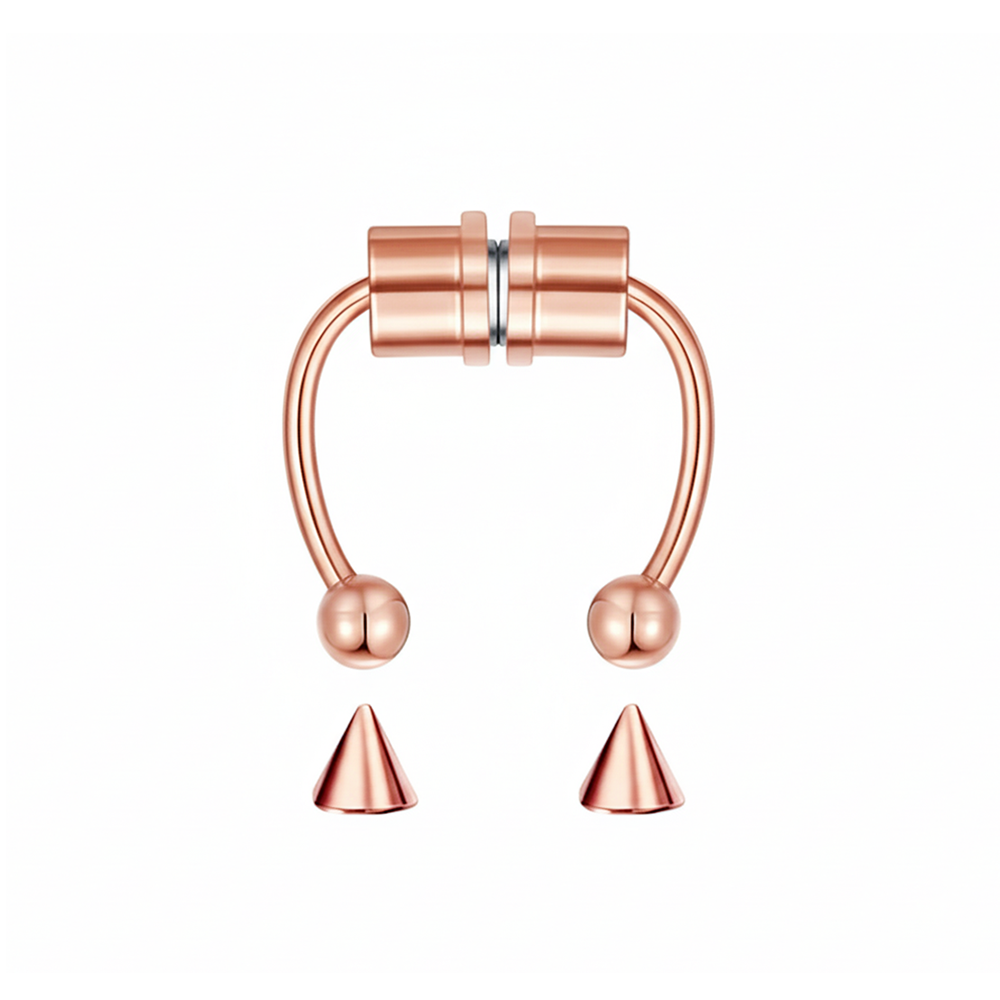 Magnetic Septum Ring
