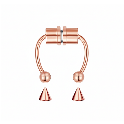 Magnetic Septum Ring