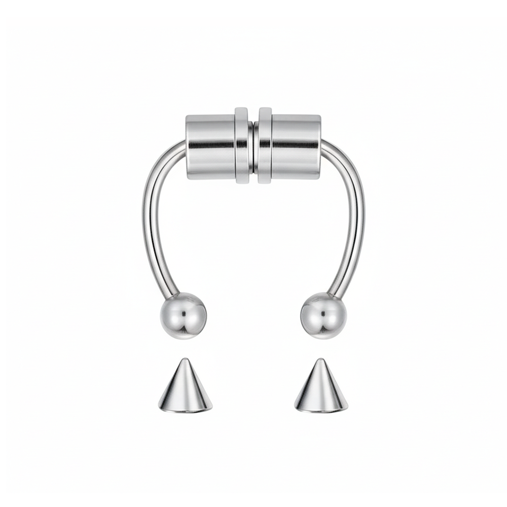 Magnetic Septum Ring
