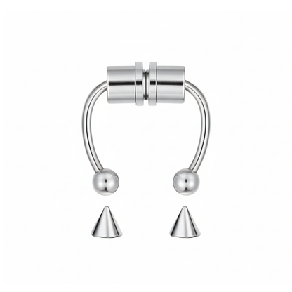 Magnetic Septum Ring
