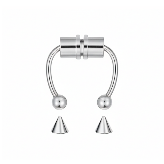 Magnetic Septum Ring